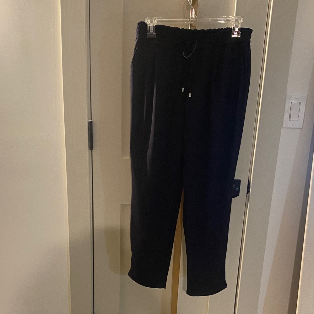 Zara Women’s Navy Blue Pants